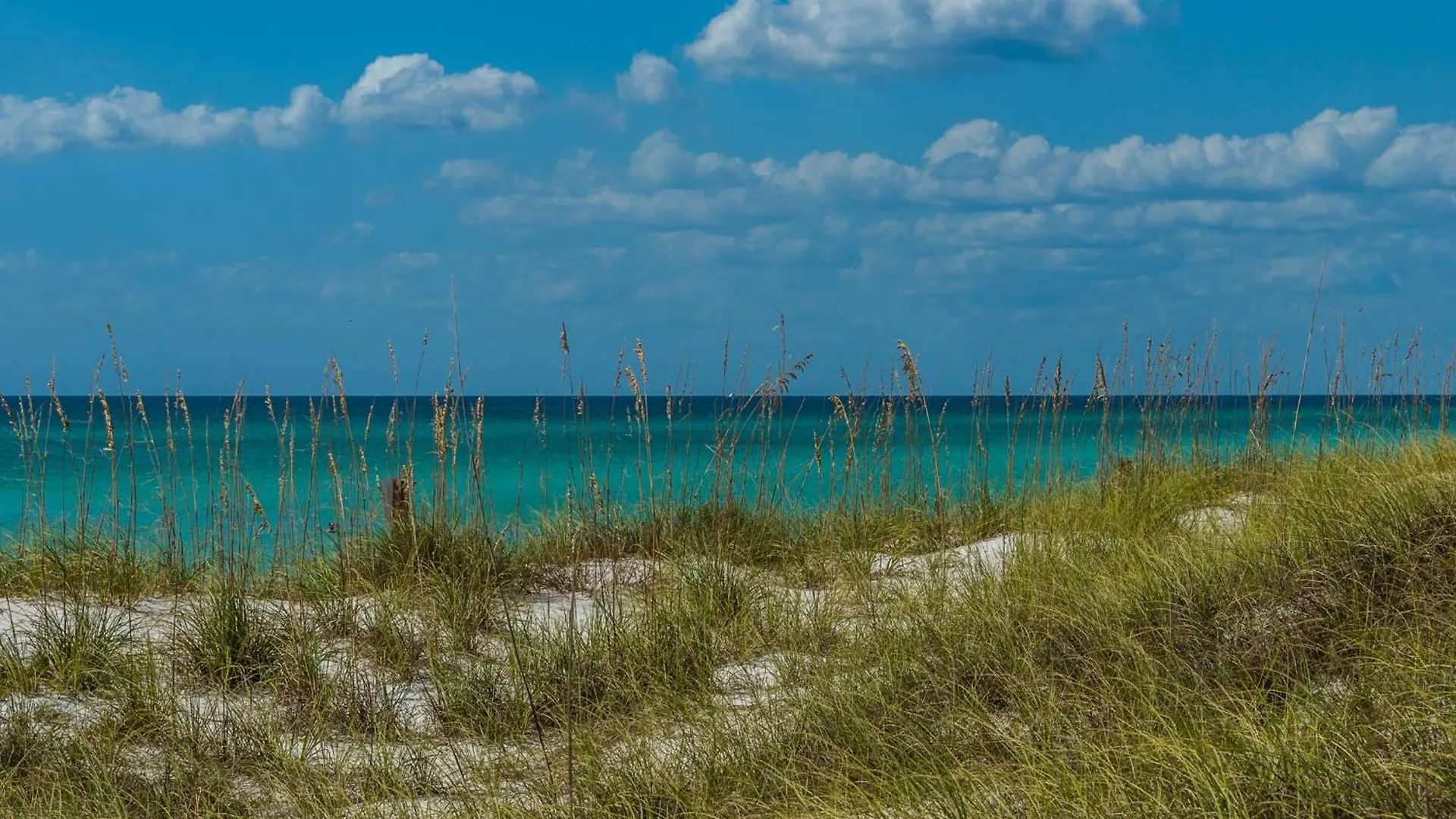 Apartmán Calypso 1-1709 By Emerald Coast Retreats Panama City Beach USA